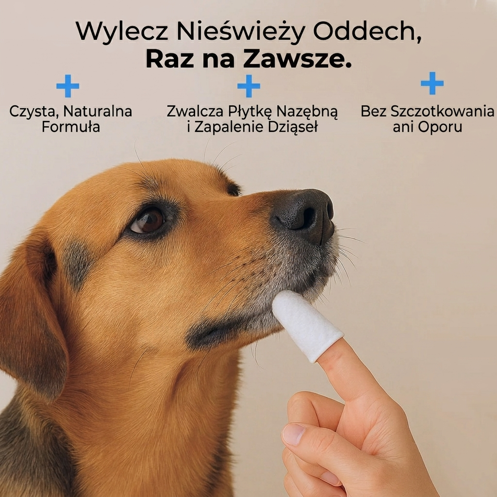 Higimo - Naturalne chusteczki do higieny zwierząt (50szt)