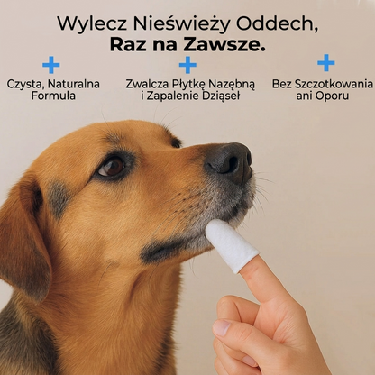 Higimo - Naturalne chusteczki do higieny zwierząt (50szt)