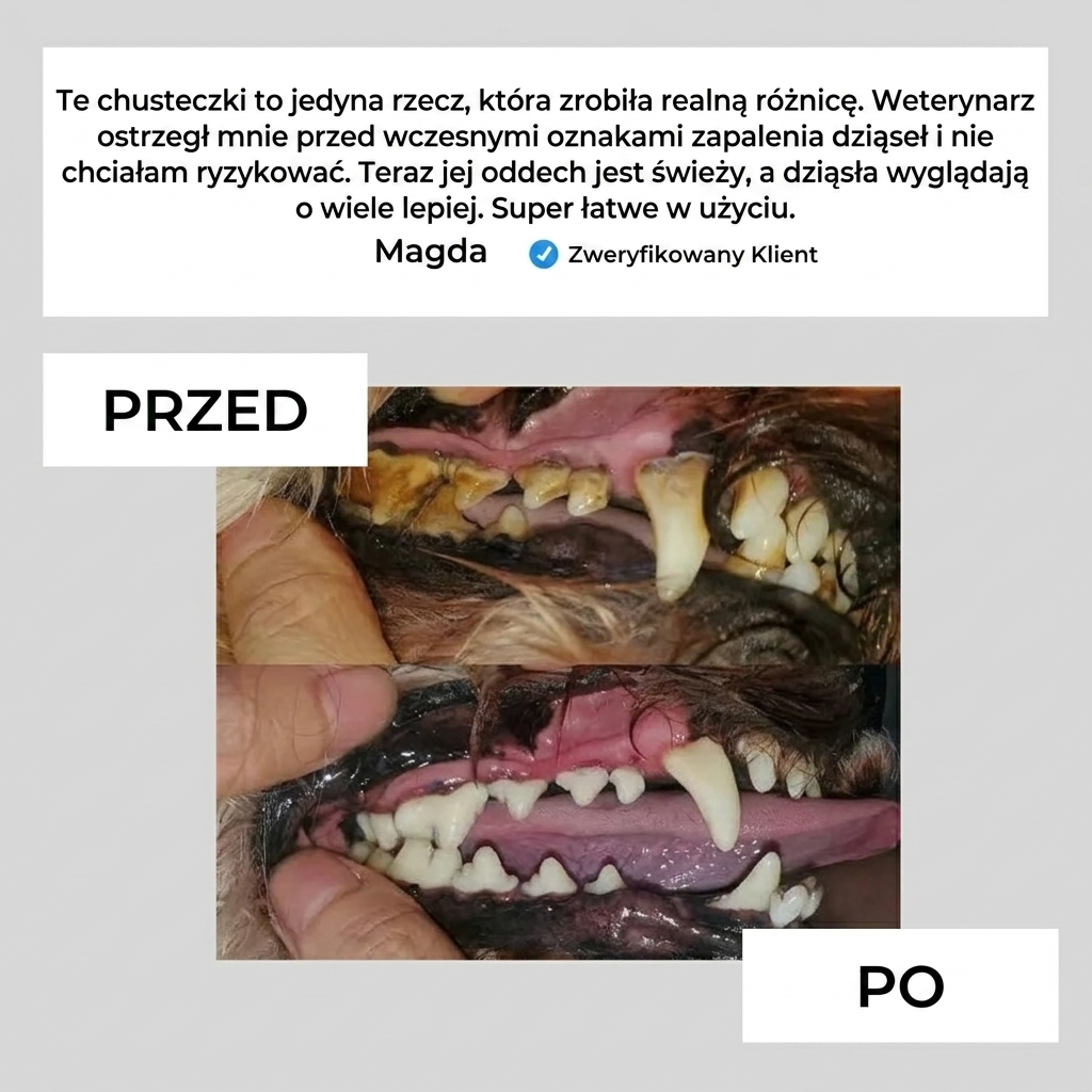 Higimo - Naturalne chusteczki do higieny zwierząt (50szt)
