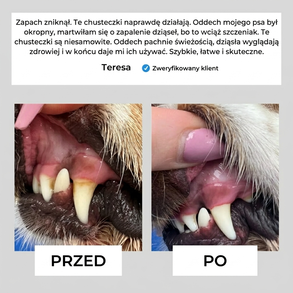 Higimo - Naturalne chusteczki do higieny zwierząt (50szt)